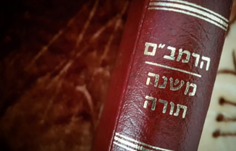 תובנות על סיום סדר מדע ואהבה