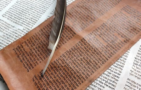 תפארת הקריאה בפרשת 'נח'