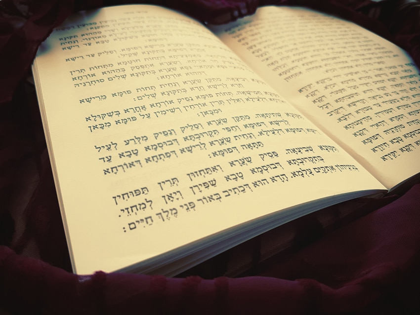 צילום - א. גמליאל
