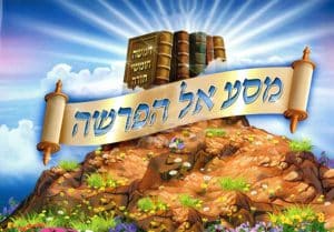 ציור- האמן ר' יואל וקסברגר ©