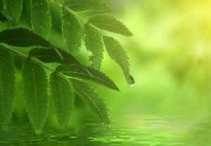 תמונה באדיבות "דרשו"