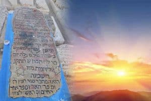 תמונה - באדיבות "דרשו"