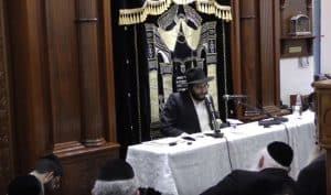 תמונה - צילום מסך