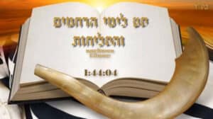 תמונה - צילום מסך