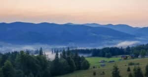 תמונה - צילום מסך