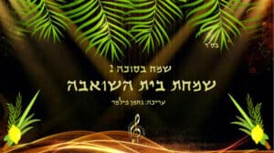 תמונה - צילום מסך