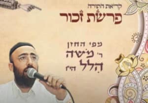 תמונה - צילום מסך