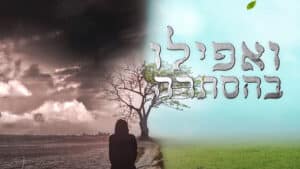 תמונה - צילום מסך