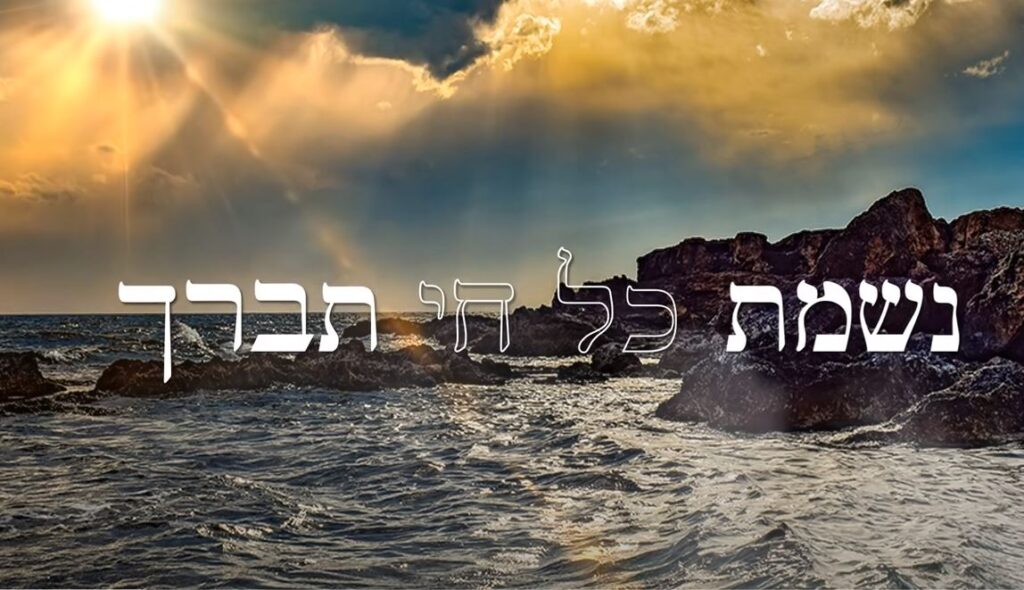 תמונה - צילום מסך