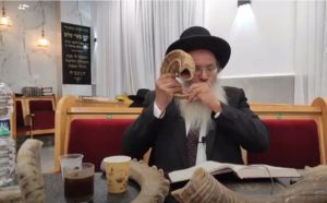 תמונה - צילום מסך