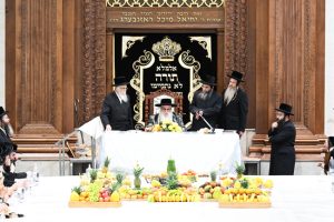 צילום משה גולדשטיין - באדיבות מרכז המידע