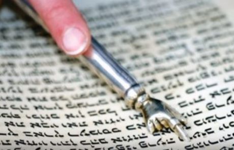 משה חבושה קריאת התורה פרשת בלק