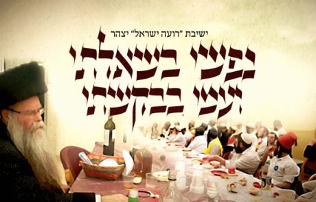 "נַפְשִׁי בִּשְׁאֵלָתִי וְעַמִּי בְּבַקָּשָׁתִי" – ניגון פורים | ישיבת רועה ישראל